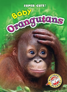 Couverture_Baby Orangutans