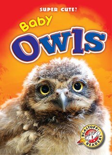 Front cover_Baby Owls