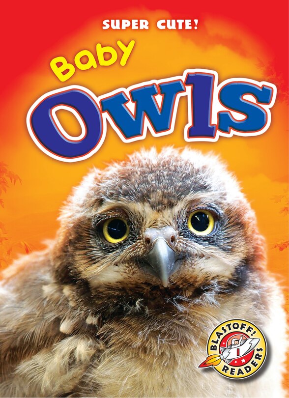 Front cover_Baby Owls