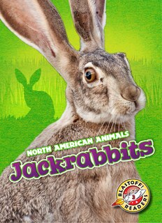 Front cover_Jackrabbits