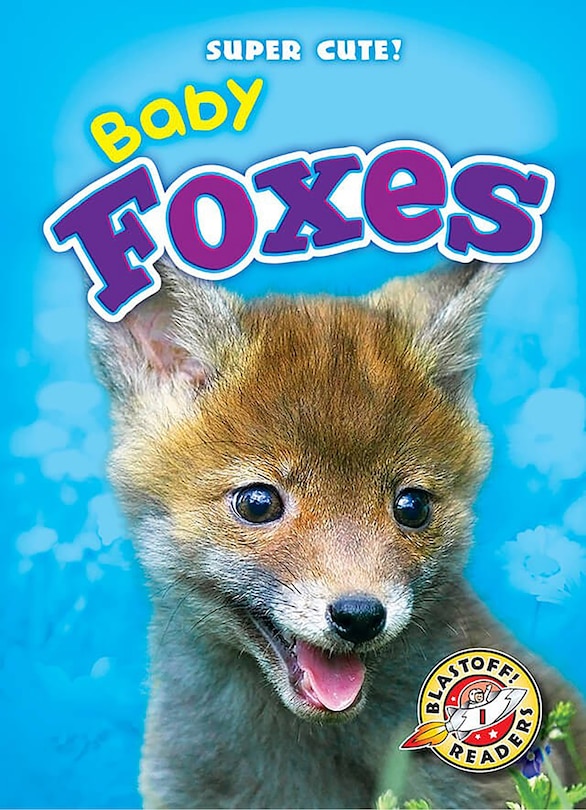 Couverture_Baby Foxes