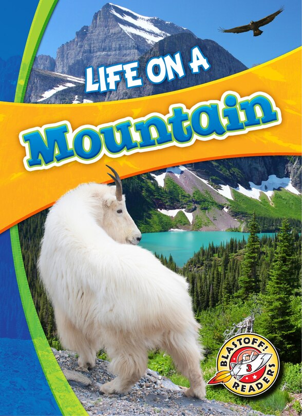 Front cover_Life on a Mountain