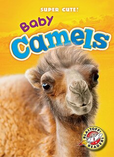 Couverture_Baby Camels