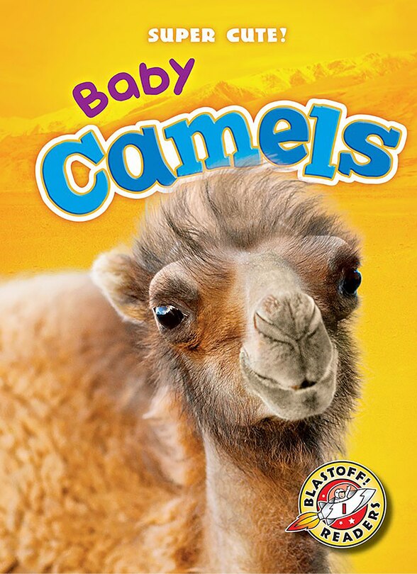 Couverture_Baby Camels