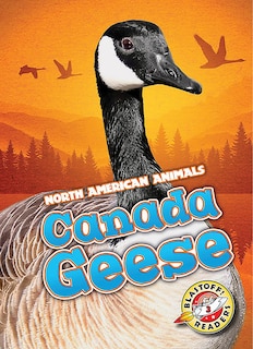 Front cover_Canada Geese