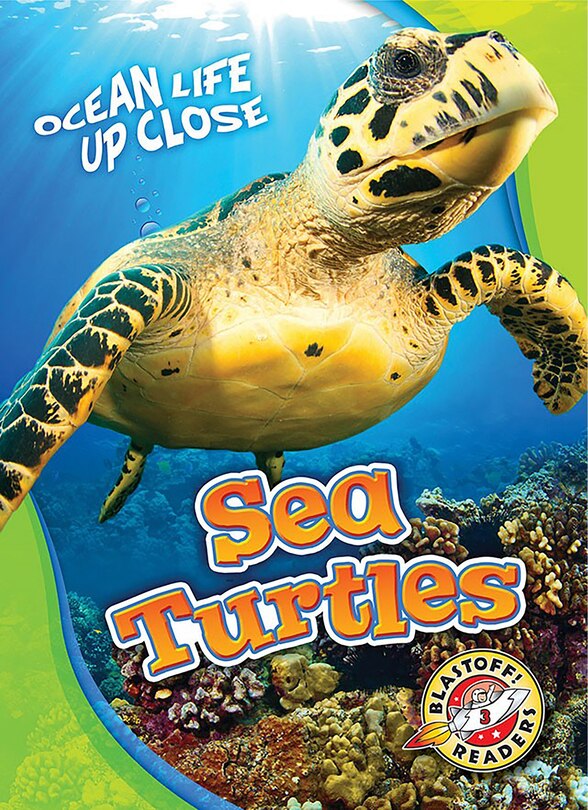 Couverture_Sea Turtles