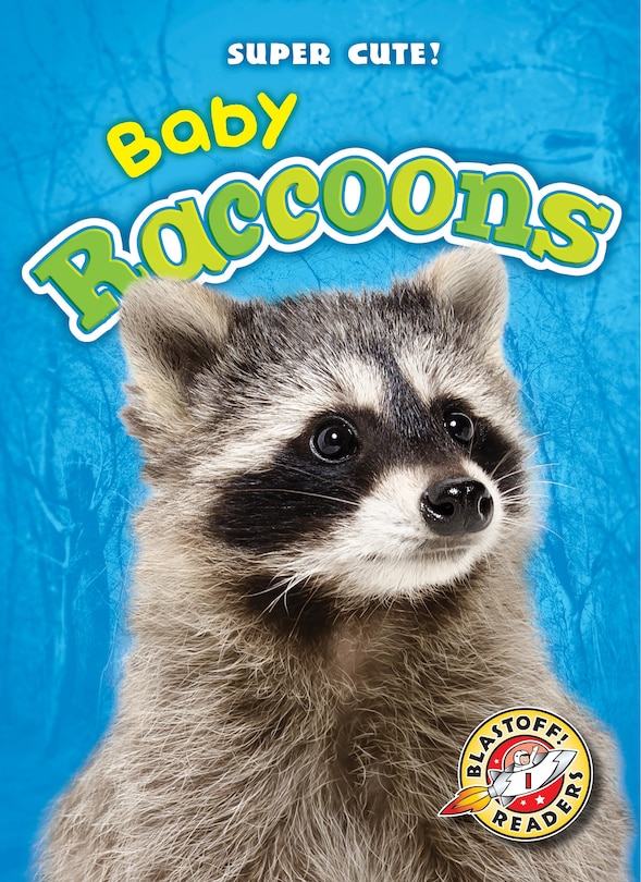 Couverture_Baby Raccoons