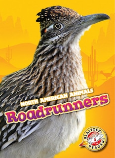 Front cover_Roadrunners