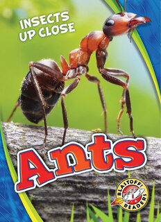 Front cover_Ants