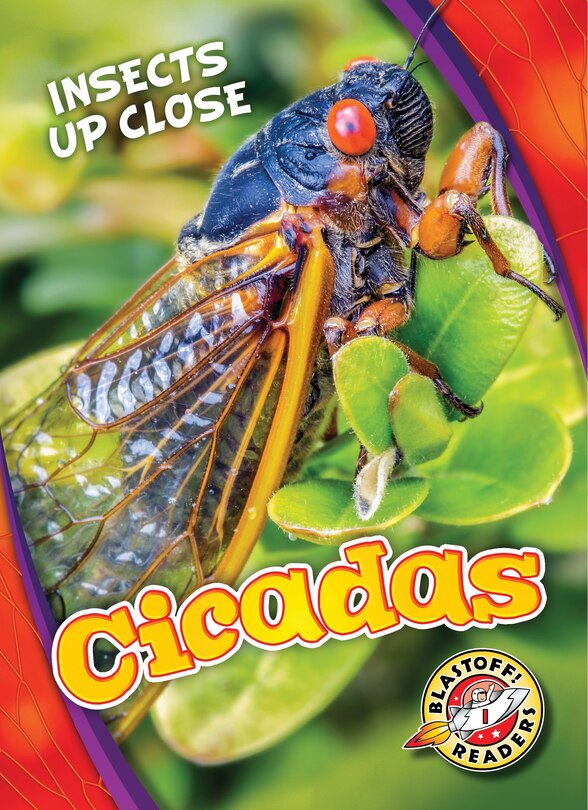 Front cover_Cicadas
