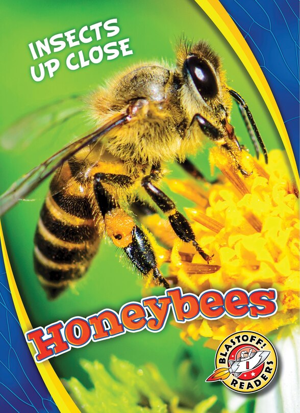 Couverture_Honeybees