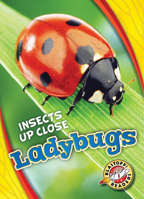 Front cover_Ladybugs