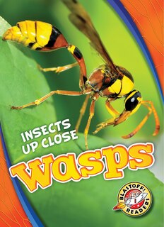 Front cover_Wasps