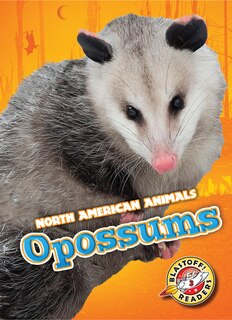 Front cover_Opossums