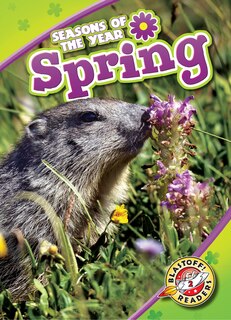 Couverture_Spring