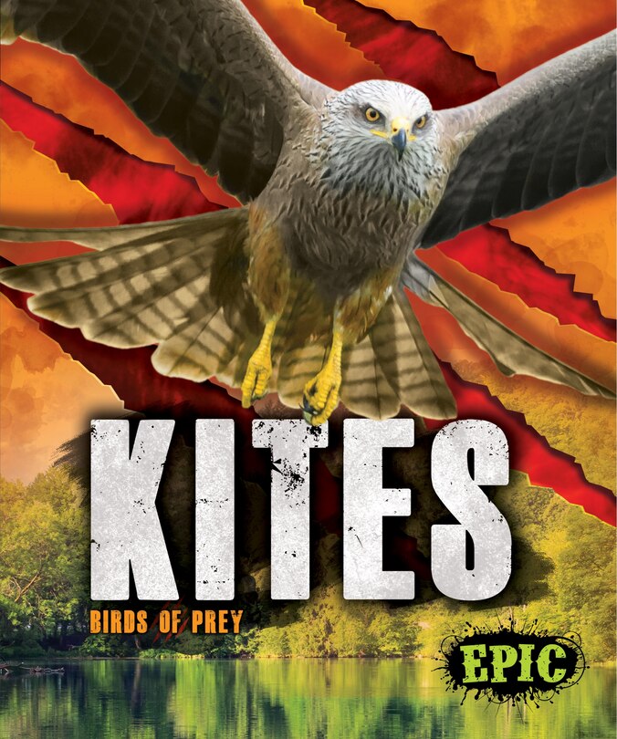 Couverture_Kites