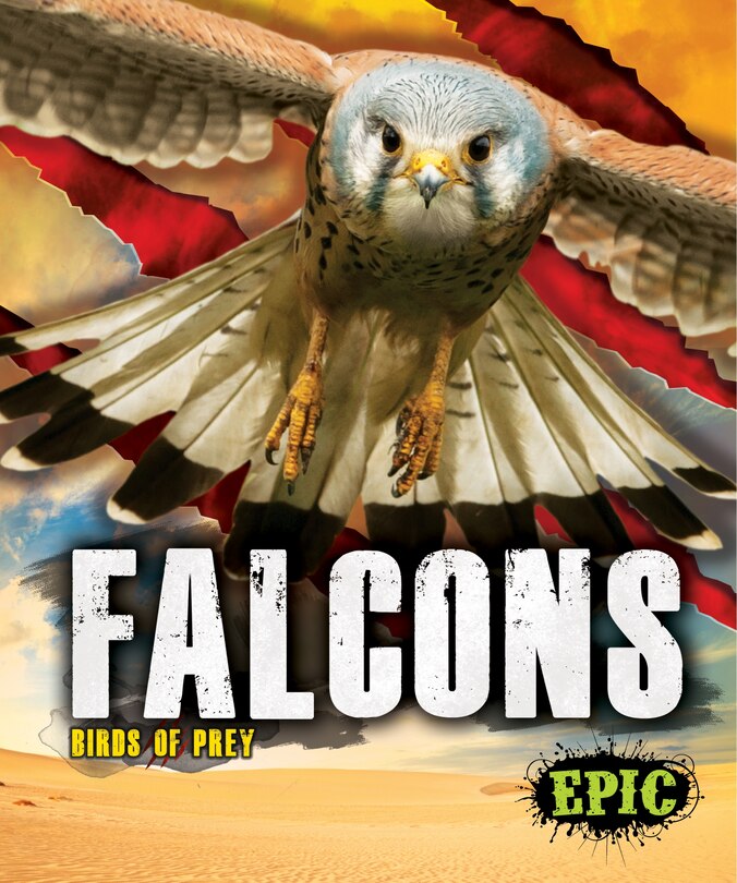 Couverture_Falcons