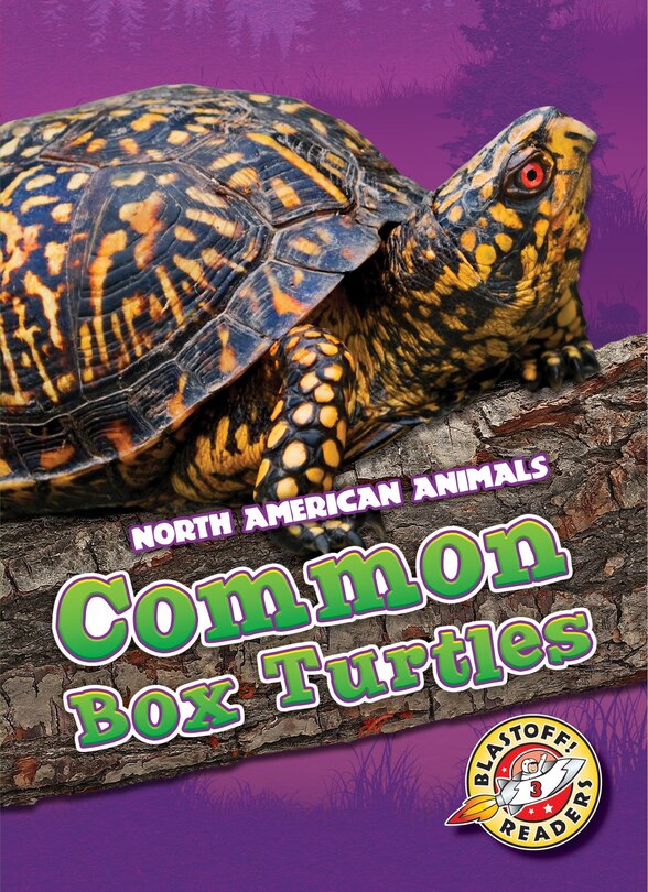 Couverture_Common Box Turtles
