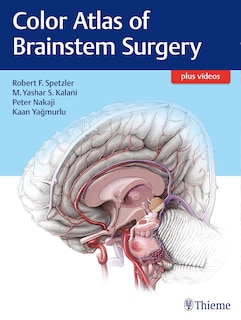 Color Atlas Of Brainstem Surgery