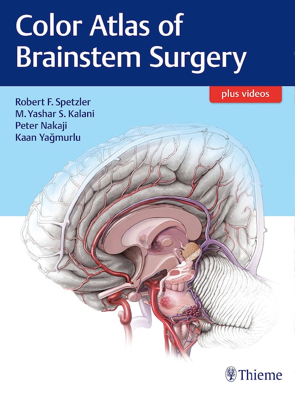 Color Atlas Of Brainstem Surgery