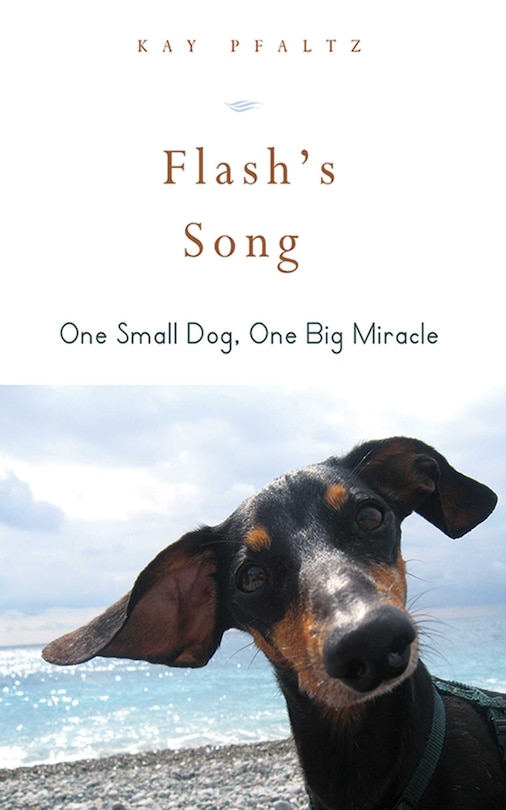 Front cover_Flash's Song