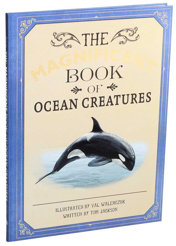 Front cover_The Magnificent Book of Ocean Creatures