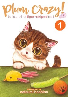 Front cover_Plum Crazy! Tales Of A Tiger-striped Cat Vol. 1