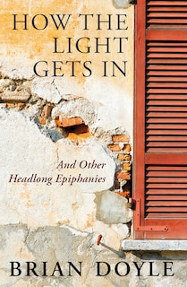 Front cover_How the Light Gets In