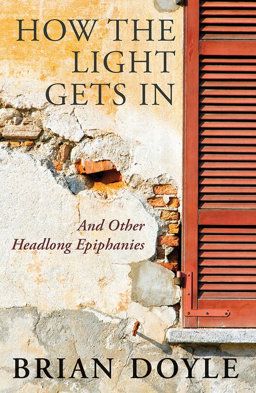 Front cover_How the Light Gets In