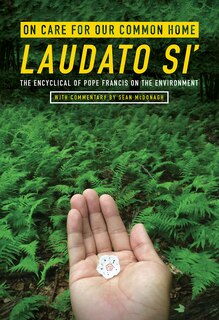 Front cover_on Care For Our Common Home, Laudato Si': The Encyclical Of Pope Francis On The Environment (ecology & Justice)