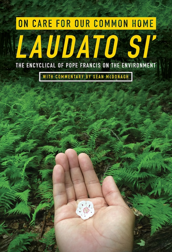 Front cover_on Care For Our Common Home, Laudato Si': The Encyclical Of Pope Francis On The Environment (ecology & Justice)