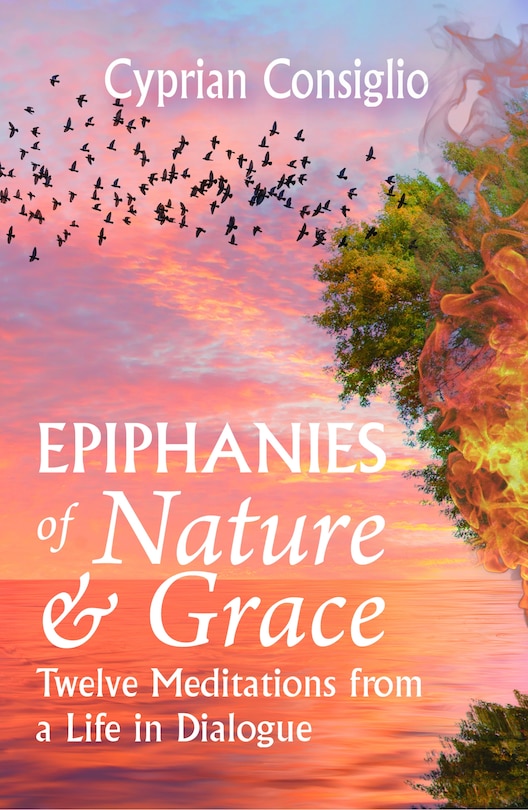 Couverture_Epiphanies of Nature and Grace: Twelve Meditations from a Life in Dialogue