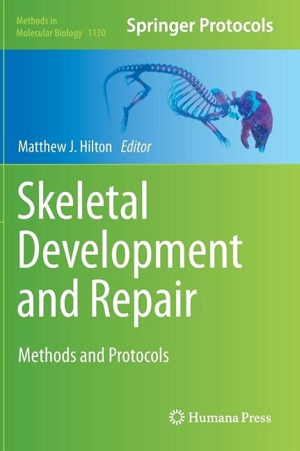 Front cover_Skeletal Development and Repair