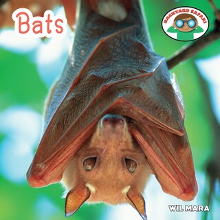 Couverture_Bats