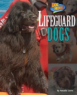 Couverture_Lifeguard Dogs