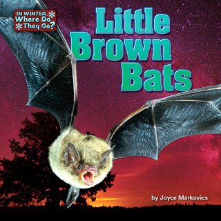 Couverture_Little Brown Bats