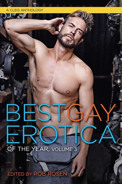Couverture_Best Gay Erotica Of The Year, Volume 3