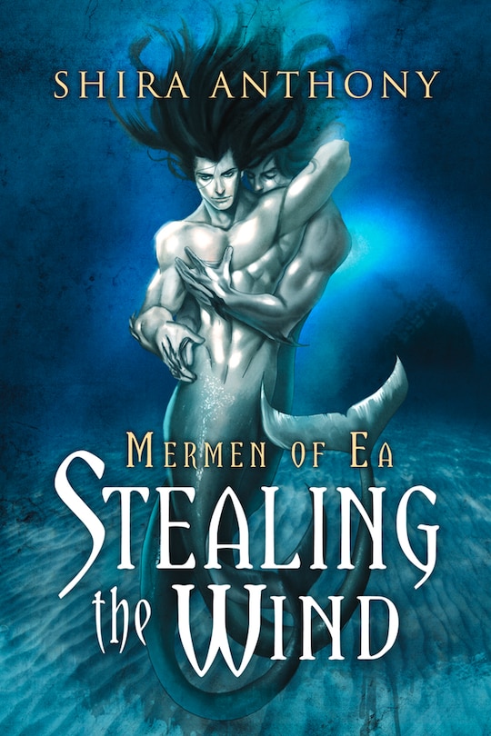 Couverture_Stealing the Wind