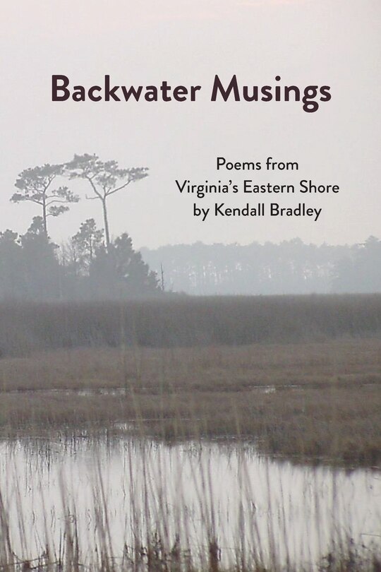 Couverture_Backwater Musings