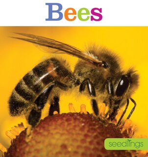 Front cover_Seedlings: Bees