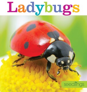 Front cover_Seedlings: Ladybugs