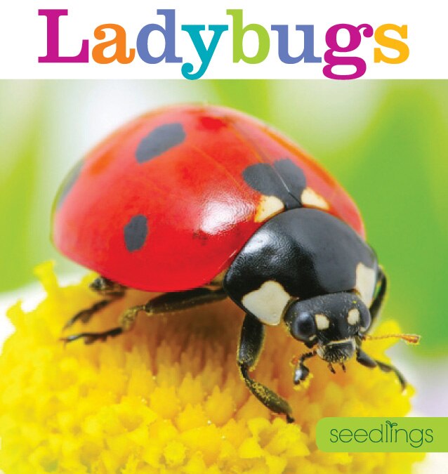 Front cover_Seedlings: Ladybugs