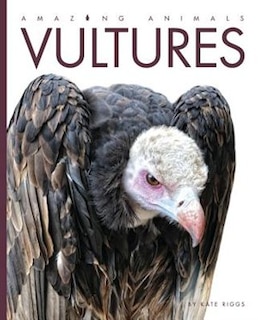 Front cover_Amazing Animals: Vultures