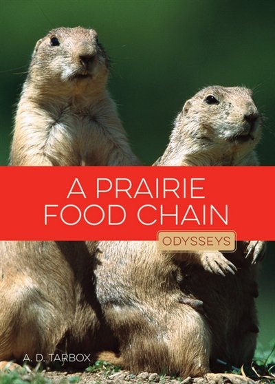 Nature's prairie new arrivals dog food