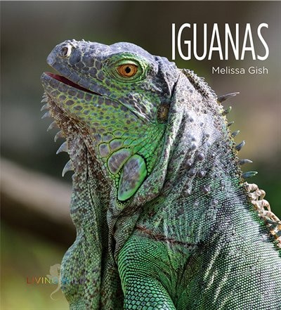 Front cover_Iguanas