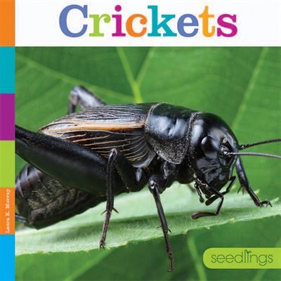 Front cover_Crickets
