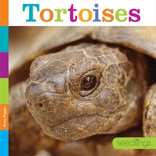 Front cover_Tortoises