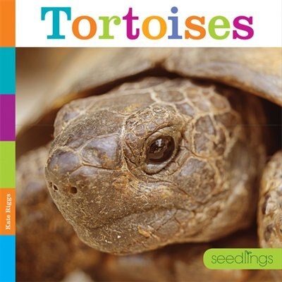 Front cover_Tortoises
