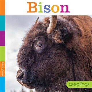 Front cover_Bison