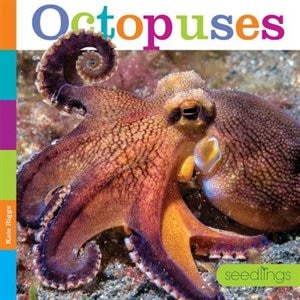 Couverture_Seedlings: Octopuses